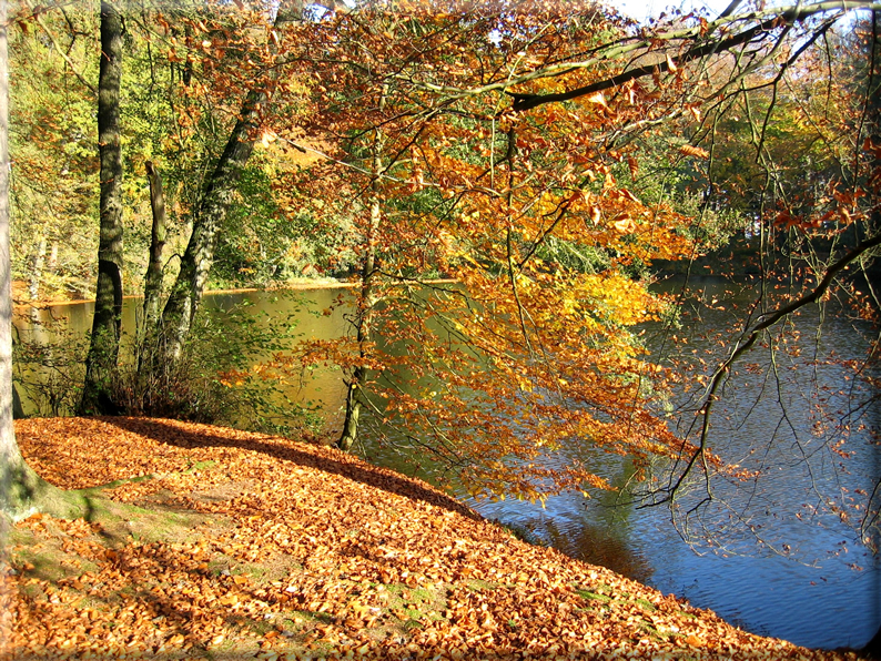 foto Parco Wilhelmshöhe in Autunno